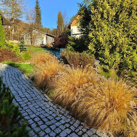 Beskid Ski Villa Wisła Extérieur photo