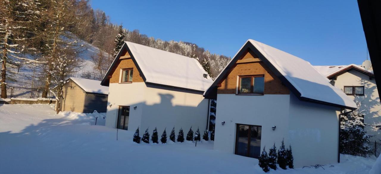 Beskid Ski Villa Wisła Extérieur photo