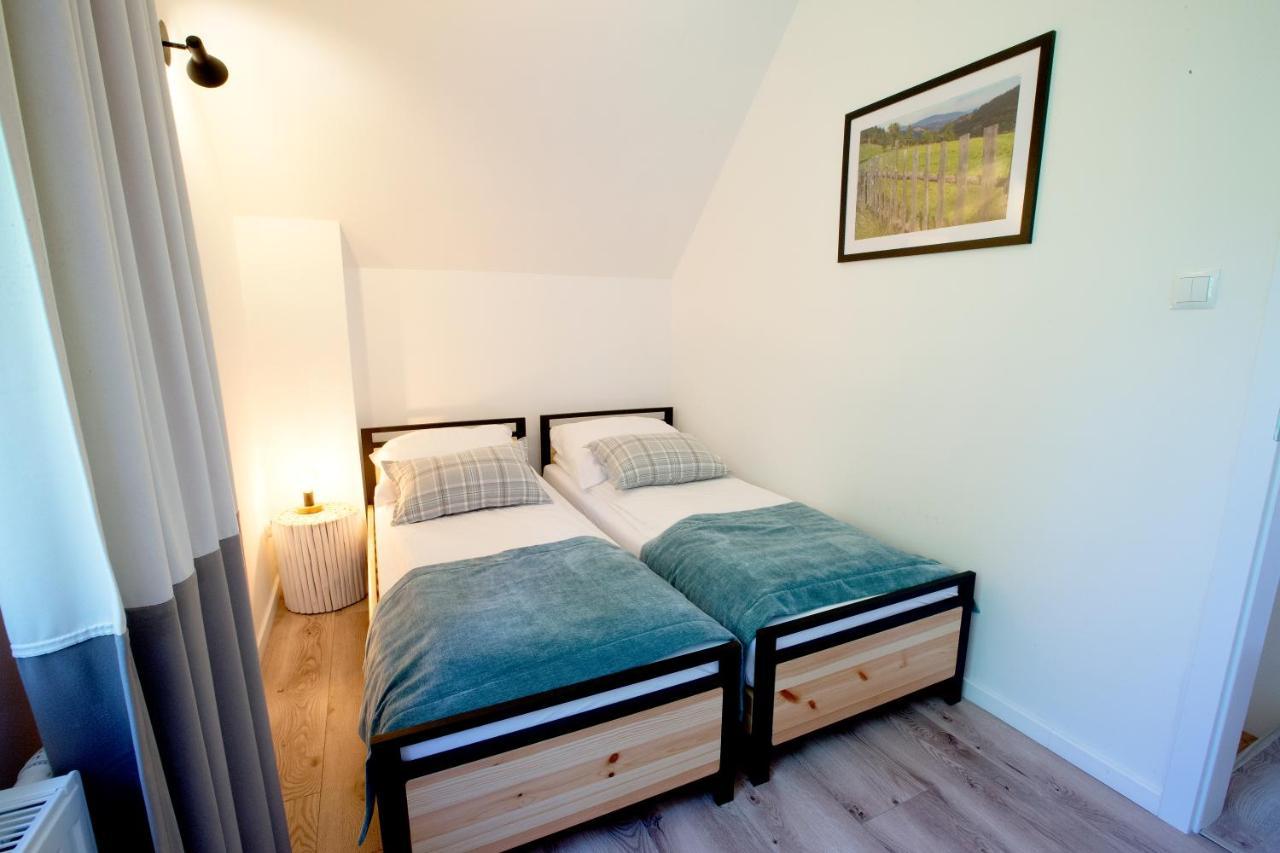 Beskid Ski Villa Wisła Extérieur photo