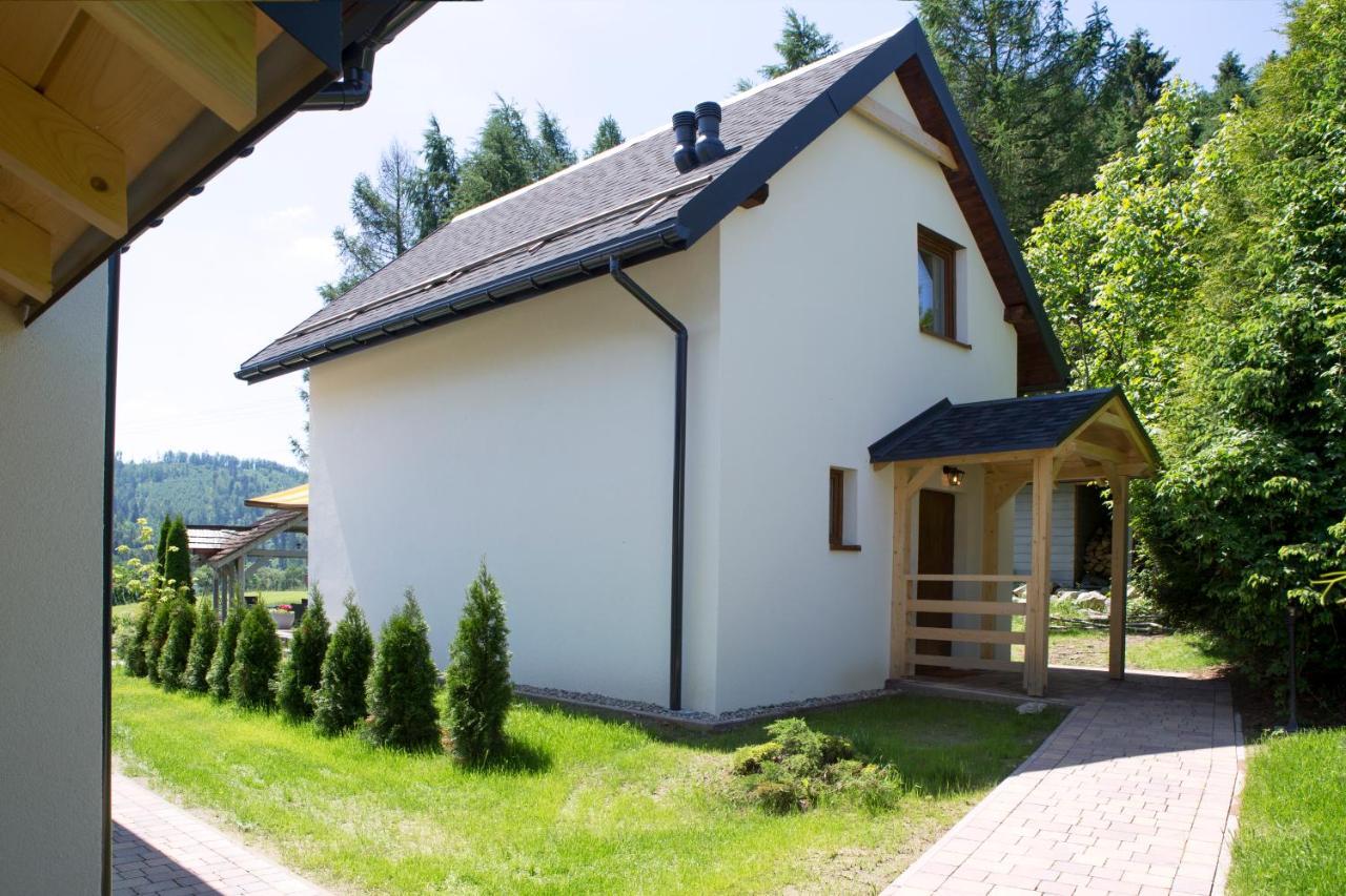 Beskid Ski Villa Wisła Extérieur photo