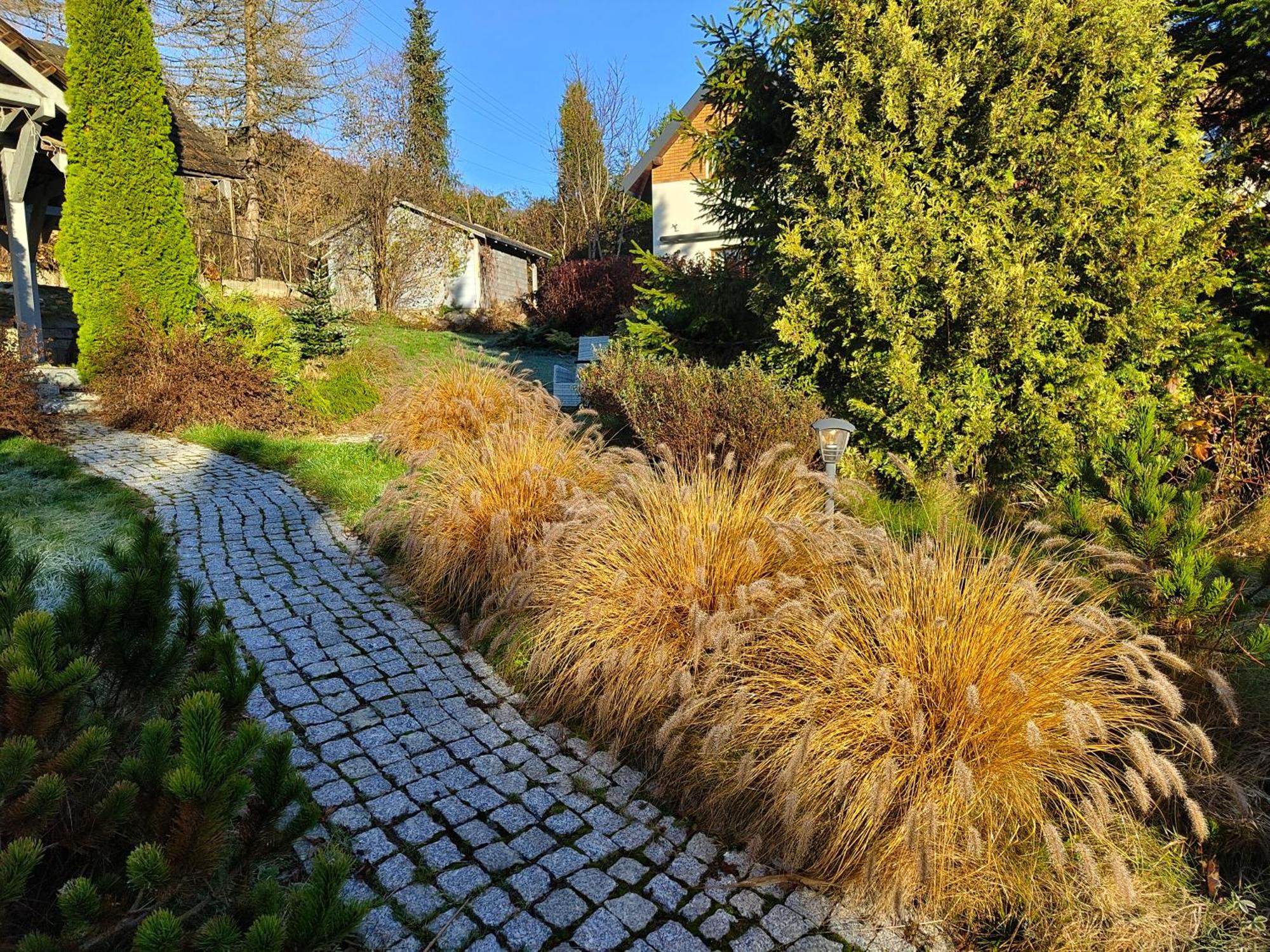 Beskid Ski Villa Wisła Extérieur photo