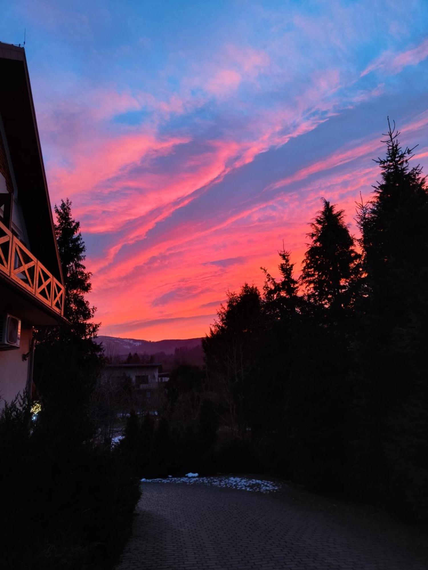 Beskid Ski Villa Wisła Extérieur photo